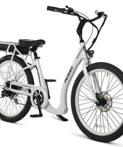 boomerang 26 step thru shaded spruce mag wheels 10