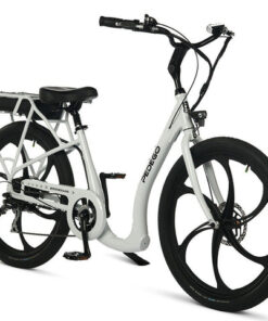 boomerang 26 step thru shaded spruce mag wheels 11